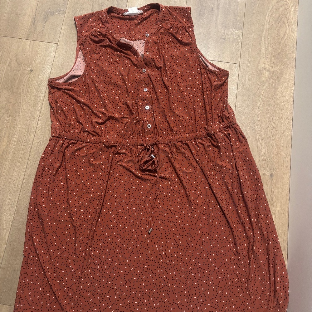 Pennington’s sleeveless dress 2x